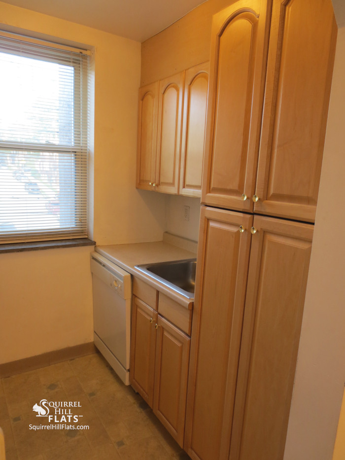 1 - Kitchen with DW